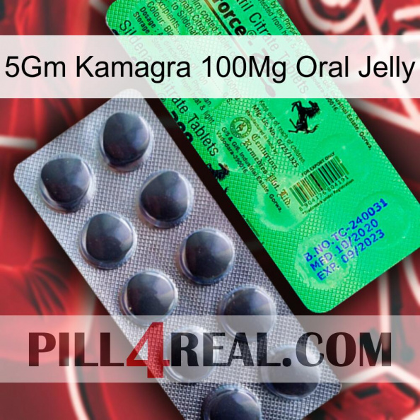 5Gm Kamagra 100Mg Oral Jelly new04.jpg